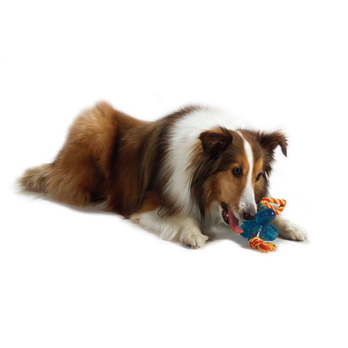 Игрушка для собак Petstages Orka Jack small Орка Джек с веревкой