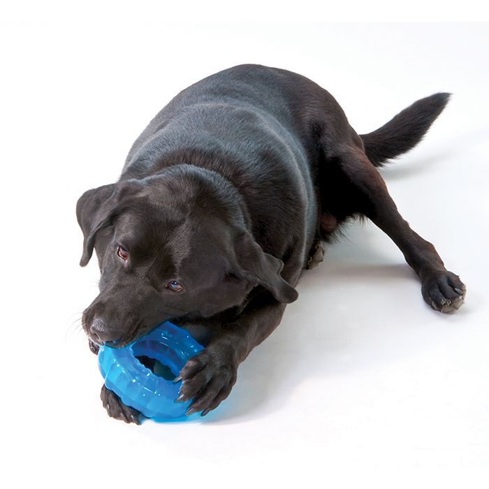 Игрушка для собак Petstages Орка шина