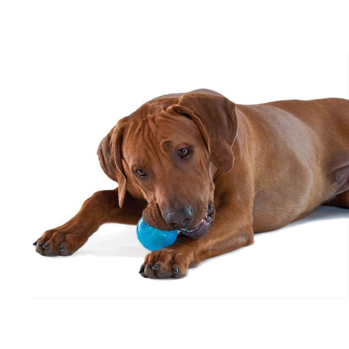 Игрушка для собак Orka Tennis Ball Blu теннисный мяч