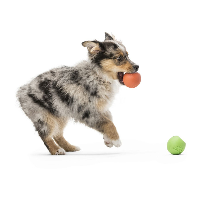 Іграшка для собак Rando Large Eggplant/Рандо м'яч зелений 9см