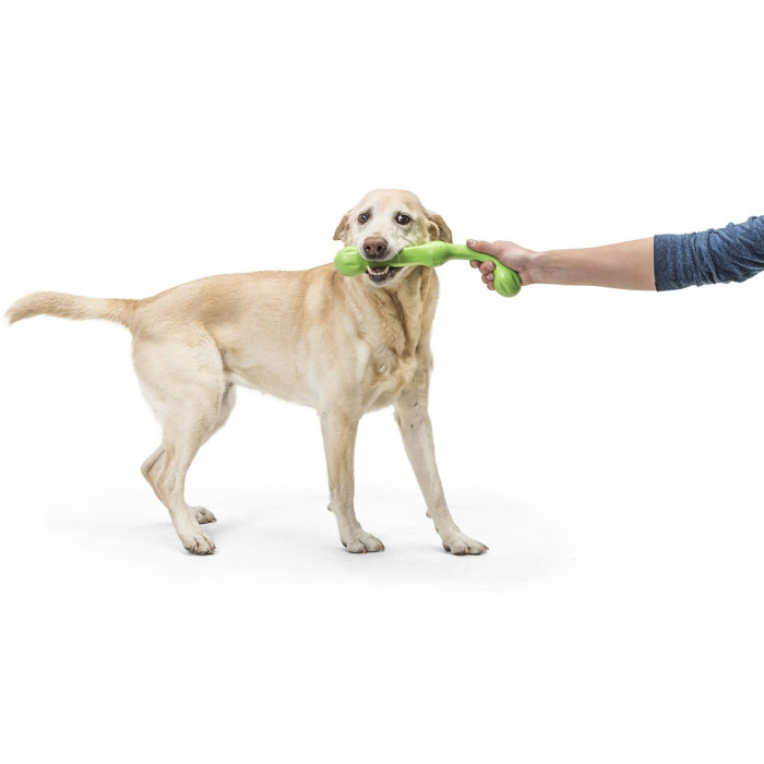 Іграшка для собак Zwig Large Melon/Звиг "гілка" зелений 35см