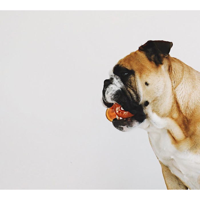 Іграшка для собак Bionic Bone кістка зелена, 12 см