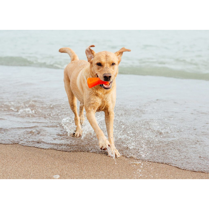 Іграшка для собак Bionic Bone кістка зелена, 12 см