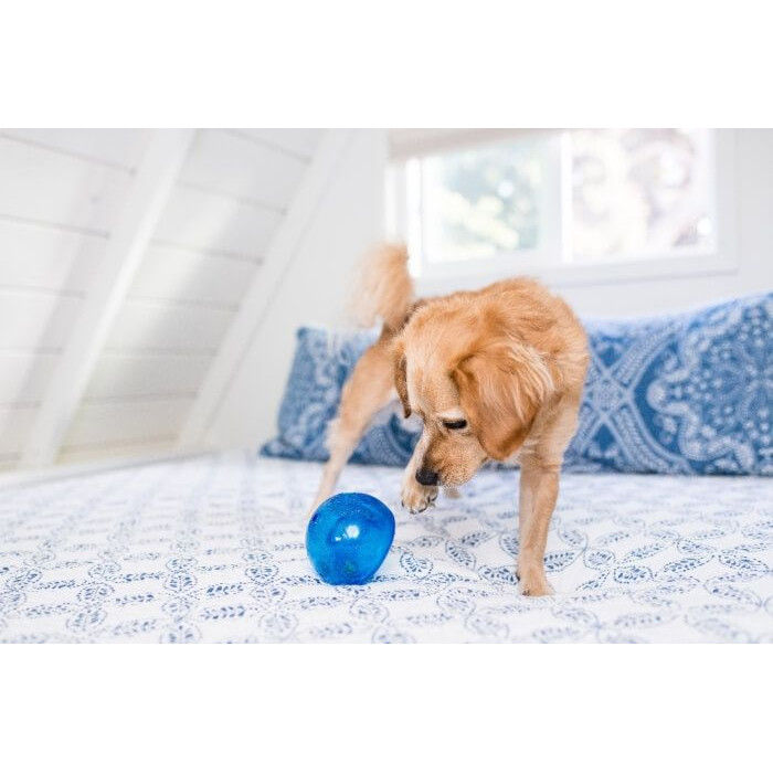 Игрушка для собак Planet Dog Snoop Шпион для лакомства, синий 10 см