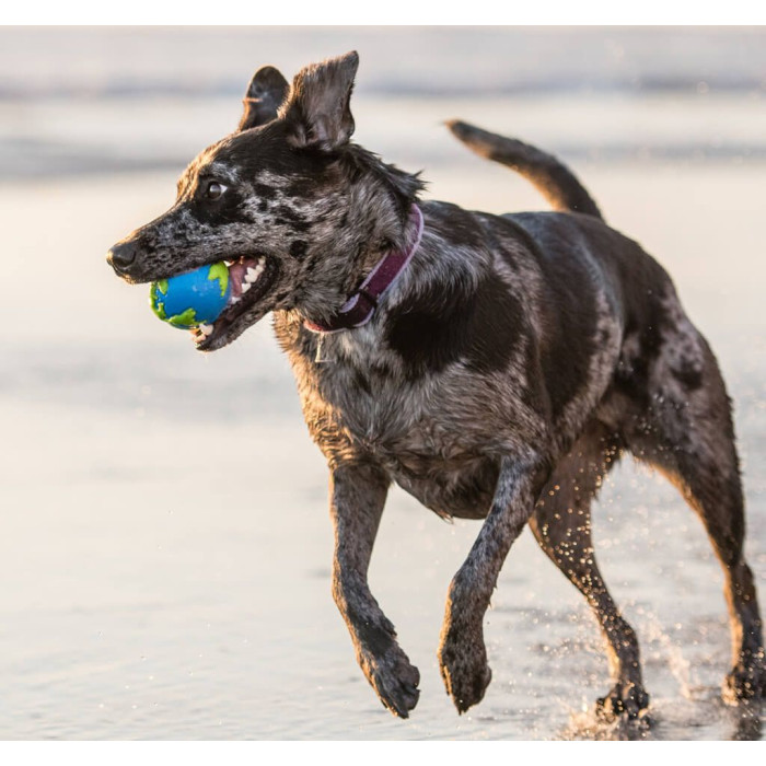 Игрушка для собак Planet Dog Orbee Ball Орби Болл мяч, средний 7см, сине-зеленый