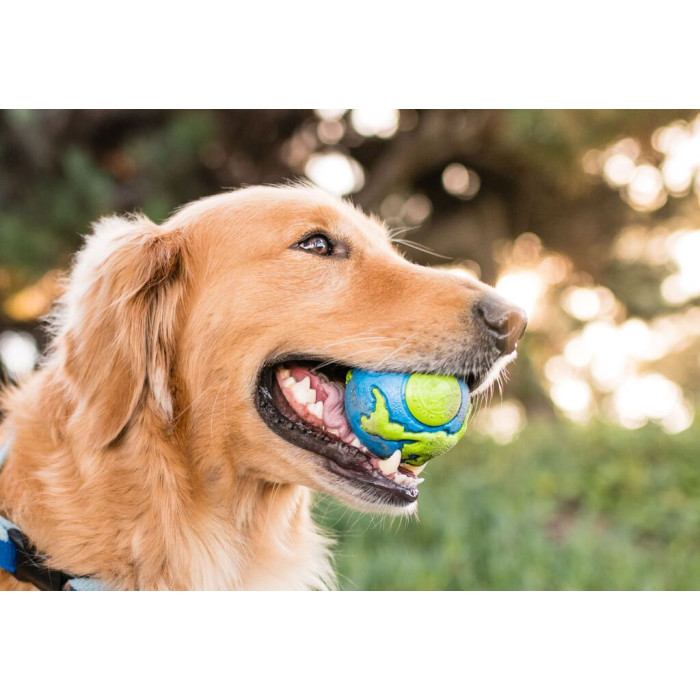 Игрушка для собак Planet Dog Orbee Ball Орби Болл мяч, средний 7см, сине-зеленый