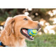 Игрушка для собак Planet Dog Orbee Ball Орби Болл мяч, средний 7см, сине-зеленый