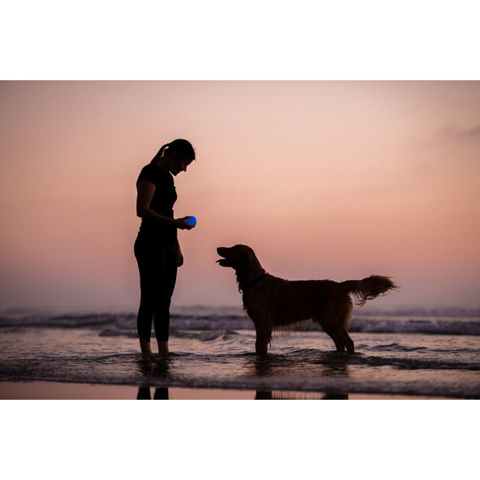 Іграшка для собак Planet Dog Strobe Ball Стробе Болл м'яч, що світиться, білий d=7 см