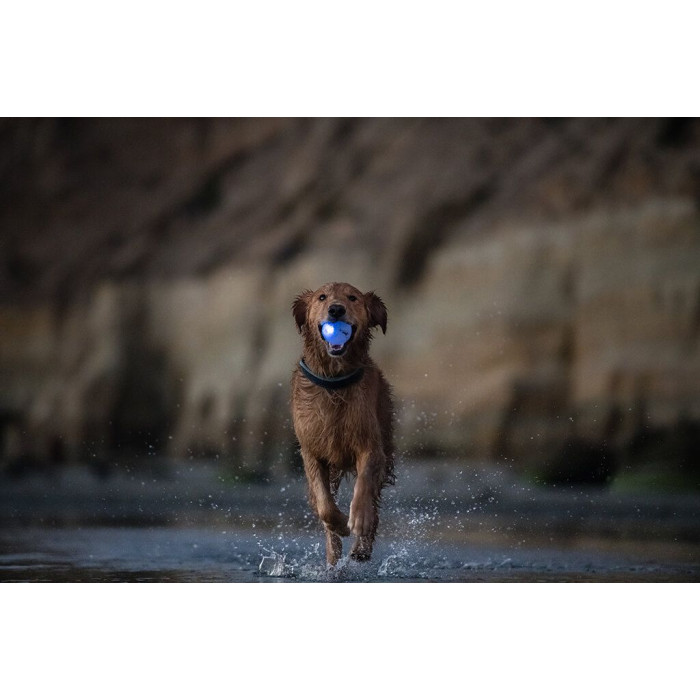 Іграшка для собак Planet Dog Strobe Ball Стробе Болл м'яч, що світиться, білий d=7 см