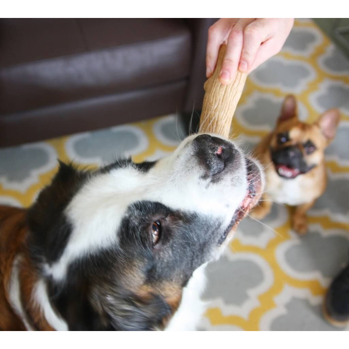 Игрушка для собак Petstages Dogwood Stick Прочная ветвь, малая 13,5см