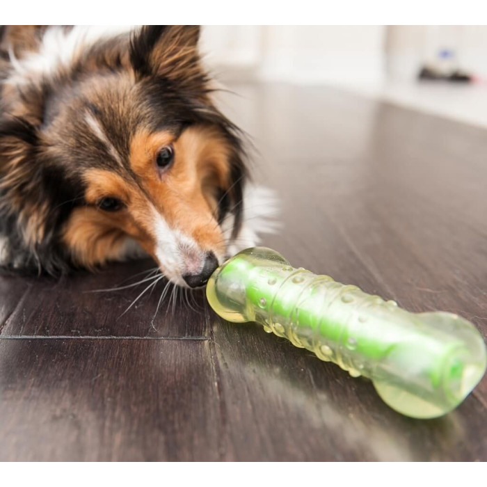 Іграшка для собак Petstages Crunchcore Кранчкор Хрумка кістка, мала 10,5см