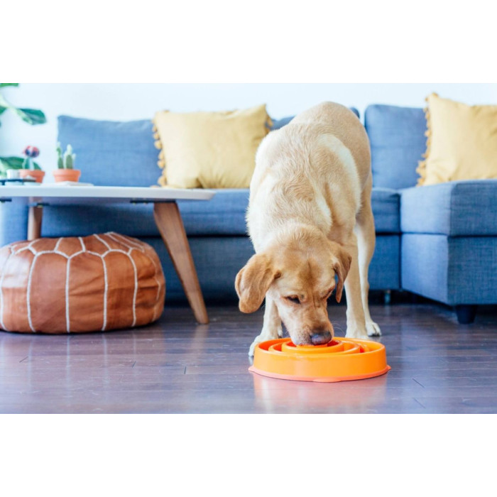 Миска-лабіринт для собак Outward Hound Fun Feeder Drop, помаранчева 27,9 см