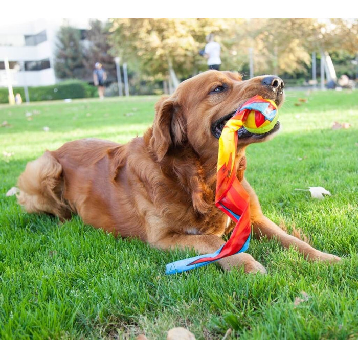 Игрушка для собак Outward Hound Comet Fetch Ball Мяч-Комета 