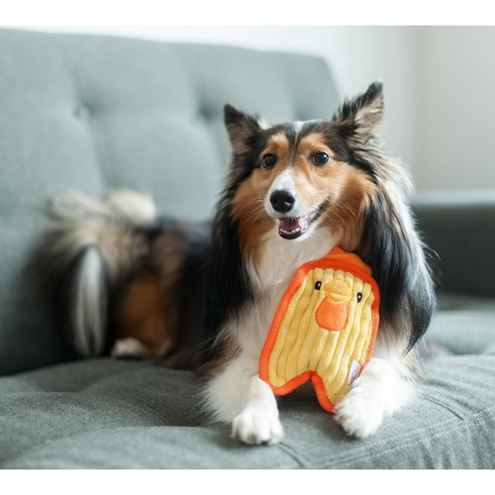 Іграшка для собак Outward Hound Invincibles Minis Chicky Непереможне курча міні