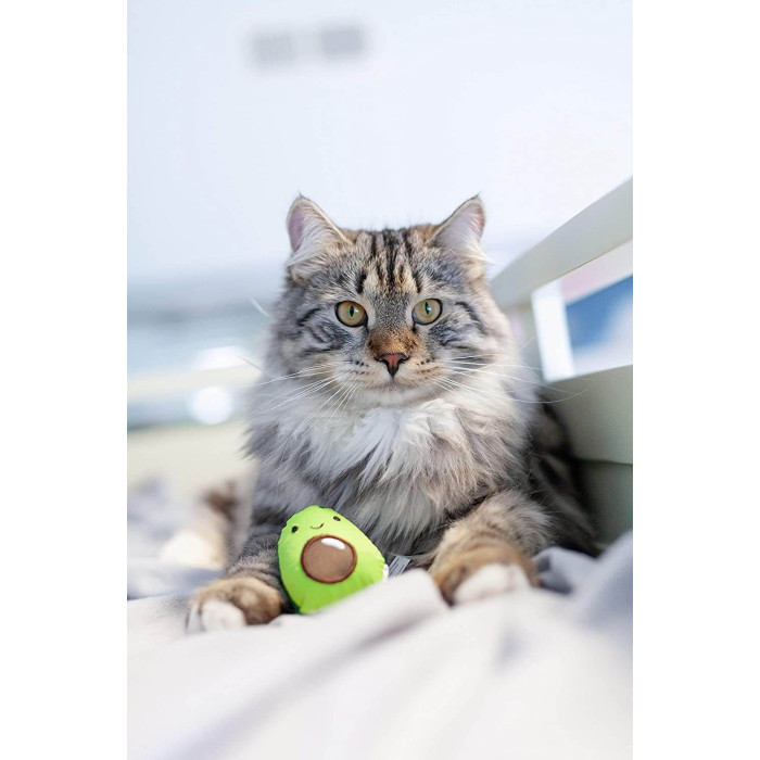 Игрушка для кошек Petstages Lil' Avocato Авокадо
