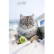 Игрушка для кошек Petstages Lil' Avocato Авокадо