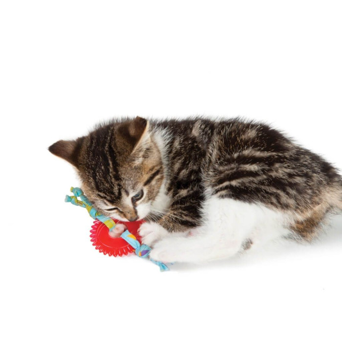 Игрушка для кошек Petstages Kitty Chew Wheel Колесо красное