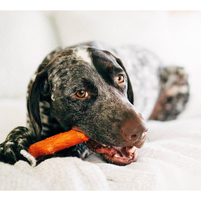 Іграшка для собак Petstages Dogwood Mesquite Міцна гілка з ароматом барбекю з дерева Мескіт, мала 13,5 см