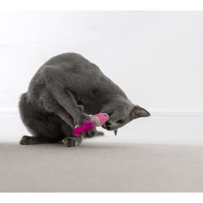 Играшка для кошек Petstages Дентал Креветки с кошачьей мятою 2 шт.