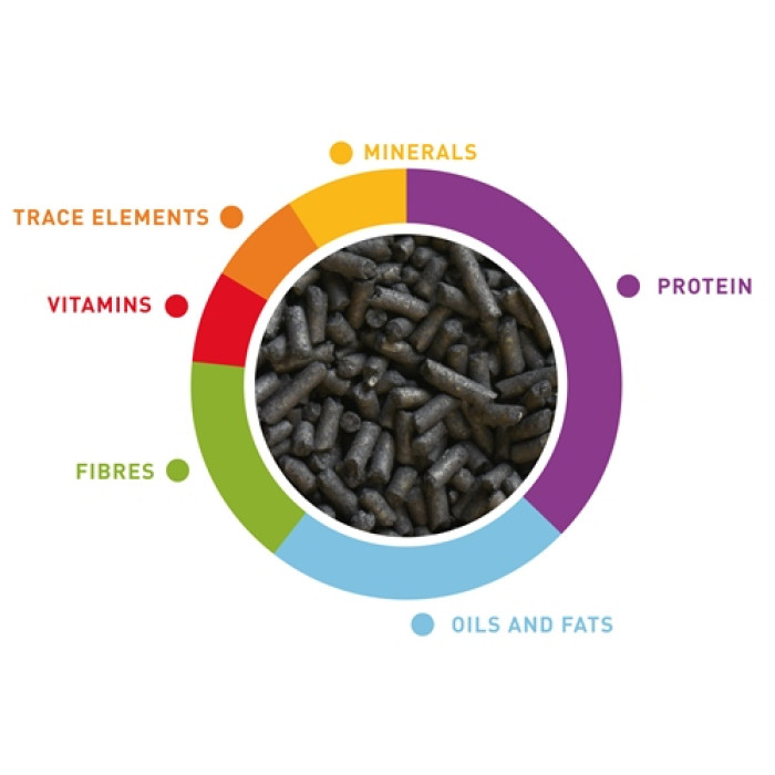 Дополнительный мягкий корм Tropical pâtée (Тропикал Пате) для средних попугаев (неразлучников, корелл, розел и др.), 700 г