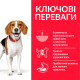 Корм Hill's Science Plan Canine Adult Perfect Weight Medium для досягнення та підтримки здорової ваги собак середніх порід, з куркою 2кг