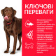 Корм Hill's Science Plan Healthy Mobility Large Breed Adult для поддержания здоровья суставов и активной жизни собак крупных пород (25 кг+), с курицей