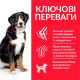 Корм Hill's Science Plan Large Breed Adult для собак великих порід (25 кг +), ягня з рисом14кг