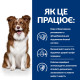 Сухой корм Hills Prescription Diet Canine Derm Defense для взрослых собак с проблемами кожи, с курицей 12кг