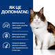 Вологий корм Hills Prescription Diet w/d для кішок - запобігання діабету ожиріння, колітів, запорів, 85г