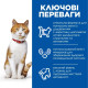 Сухий корм Hill's Science Plan Adult Sterilised Cat для стерилізованих кішок 1-6 років, з лососем 10 кг