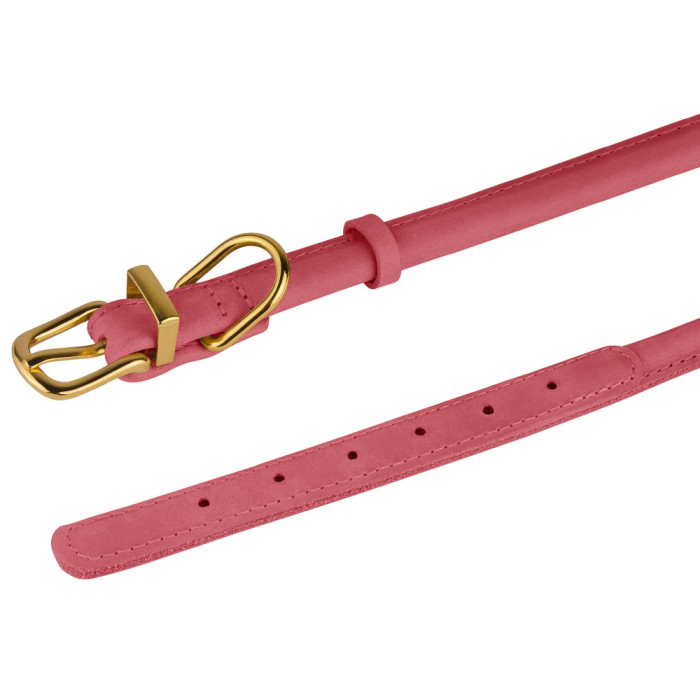 Нашийник для собак круглий шкіряний Crazy Блаш S, 23-33 см