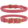 Ошейник для собак круглый кожаный BronzeDog Crazy Блаш XS, 18-25 см