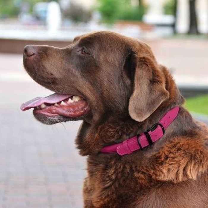 Ошейник для собак круглый кожаный BronzeDog Premium с металлической фурнитурой, Розовый 2XS 20-25 см