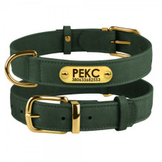 Ошейник для собак кожаный BronzeDog Crazy Зеленый XL 46-60 см