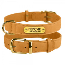 Ошейник для собак кожаный BronzeDog Crazy Голд XS 19-25 см