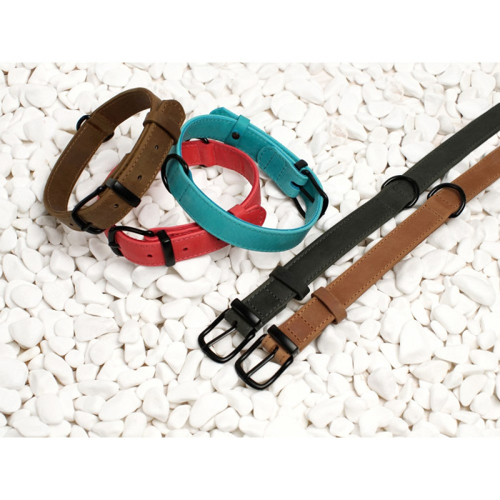 Ошейник для собак BronzeDog Crazy кожаный плоский Розовый L 38-49 см 