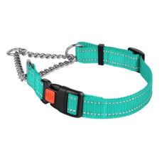 Нашийник Мартінґейл Active нейлоновий зі світловідбиттям та ланцюжком, бірюзовий