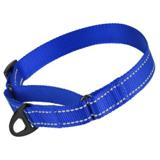 Нейлоновий нашийник зі світловідбиттям для собак Мартінґейл ACTIVE, синій S 28-38 см