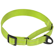 Нейлоновий нашийник зі світловідбиттям для собак Мартінґейл ACTIVE, салатовий S 28-38 см