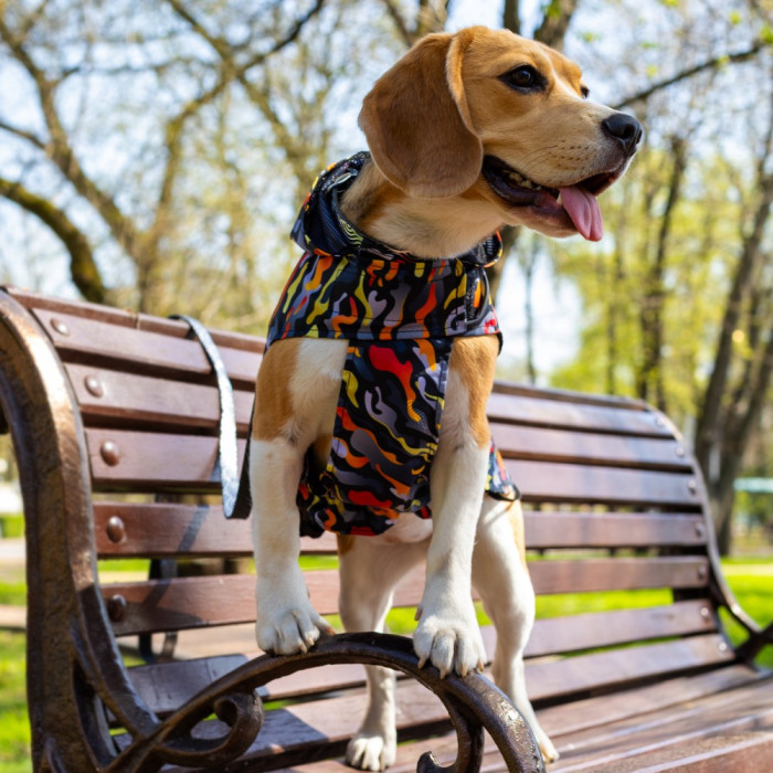 Дождевик для собак Barksi Textile с капюшоном Гравитация, 2XS - 23 см