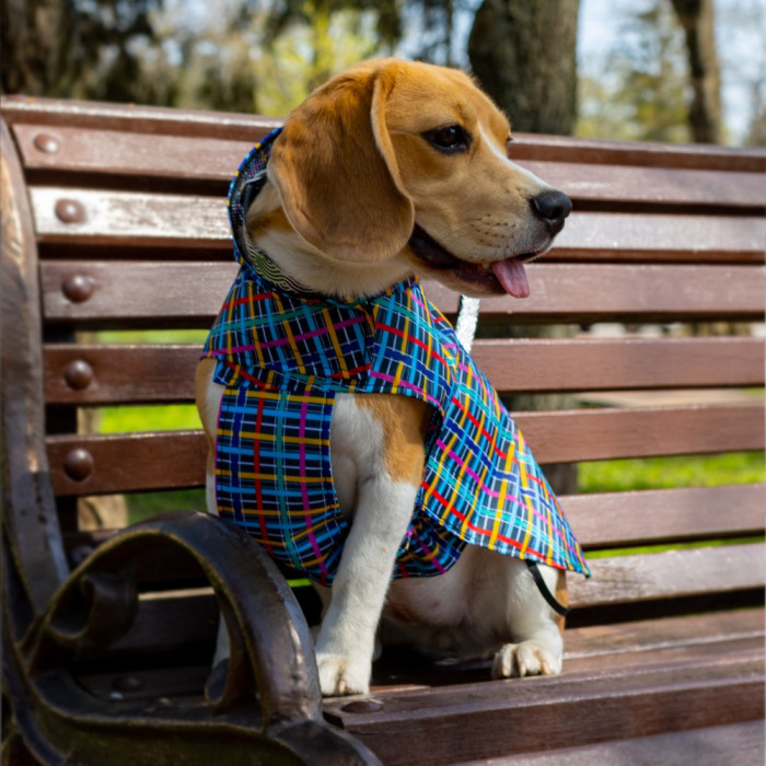 Дождевик для собак Barksi Textile с капюшоном Клетка, M - 38 см