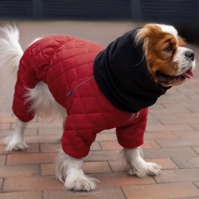 Комбінезон для собак Barksi Textile Червоний, 2XS 20-22