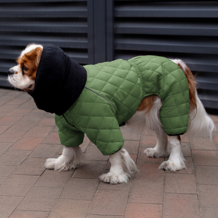 Комбинезон для собак Barksi Textile Зеленый, L 40-42