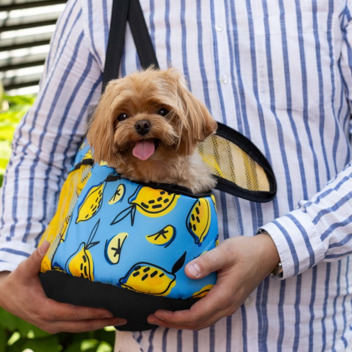 Сумка-переноска для животных Barksi Лимоны M 45х25х25