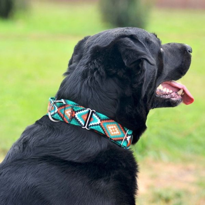 Нашийник для собак мартингейл Urban нейлоновий з металевою фурнітурою, Ромби M 38-51 см