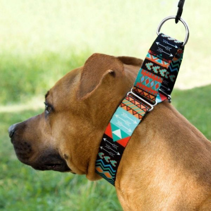 Ошейник для собак мартингейл BronzeDog Urban нейлоновый c металлической фурнитурой, Ацтеки S 30-40 см