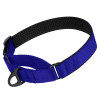 Ошейник для собак Мартингейл BronzeDog Mesh Синий L 48-61 см