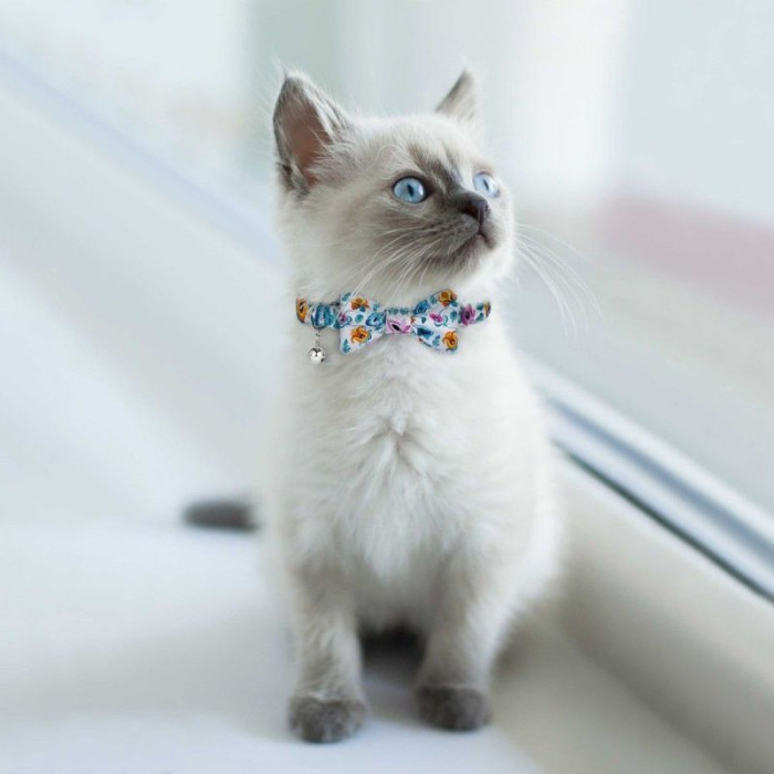 Метелик Urban Folk для собак і кішок до нашийника, ментоловий