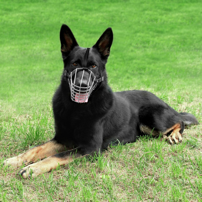 Намордник металлический Bronzedog №6 Овчарка усиленная (12,5 х 34 х 49/67 см)