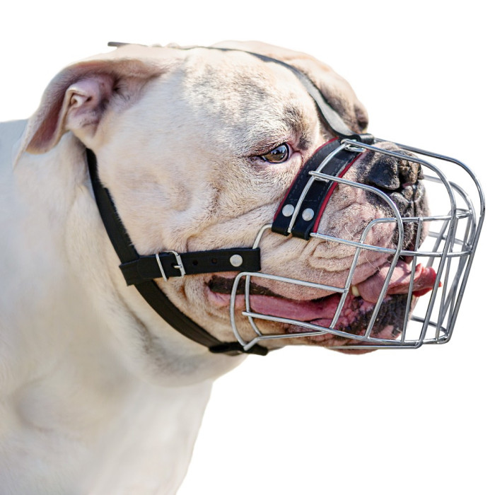Намордник металевий Ротвейлер, Англійский Бульдог M (38-57 см / 38 см / 9,5 см)